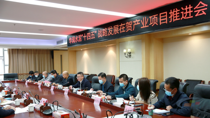 華潤水泥“十四五”戰略發展在賀產業項目推進會圓滿舉行，賀州政企合力共繪發展藍圖